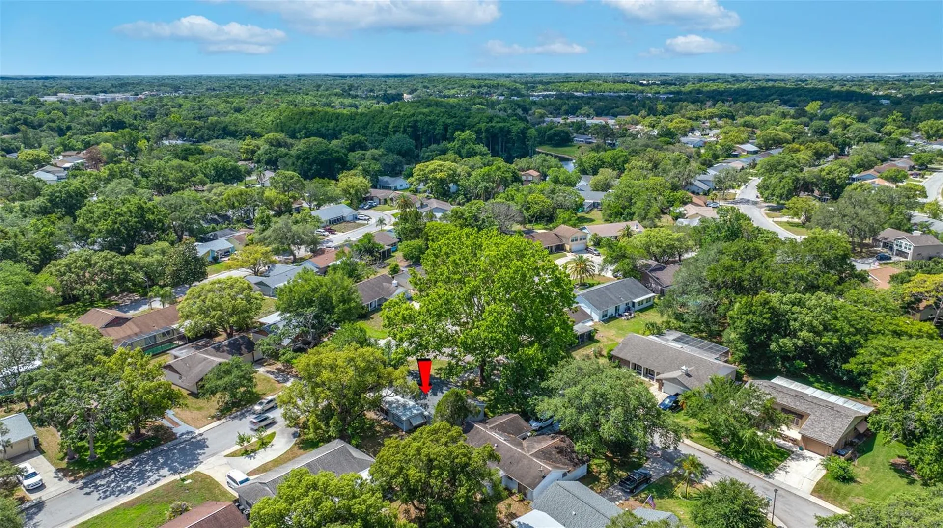 8705 Powderhorn Row Hudson FL 34667