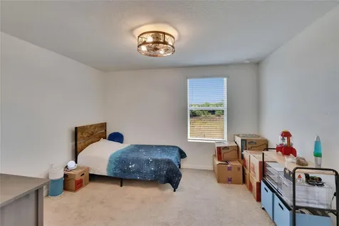 16894 Delia Street Wimauma FL 33598