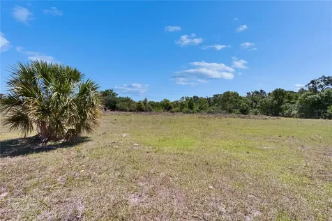 16894 Delia Street Wimauma FL 33598
