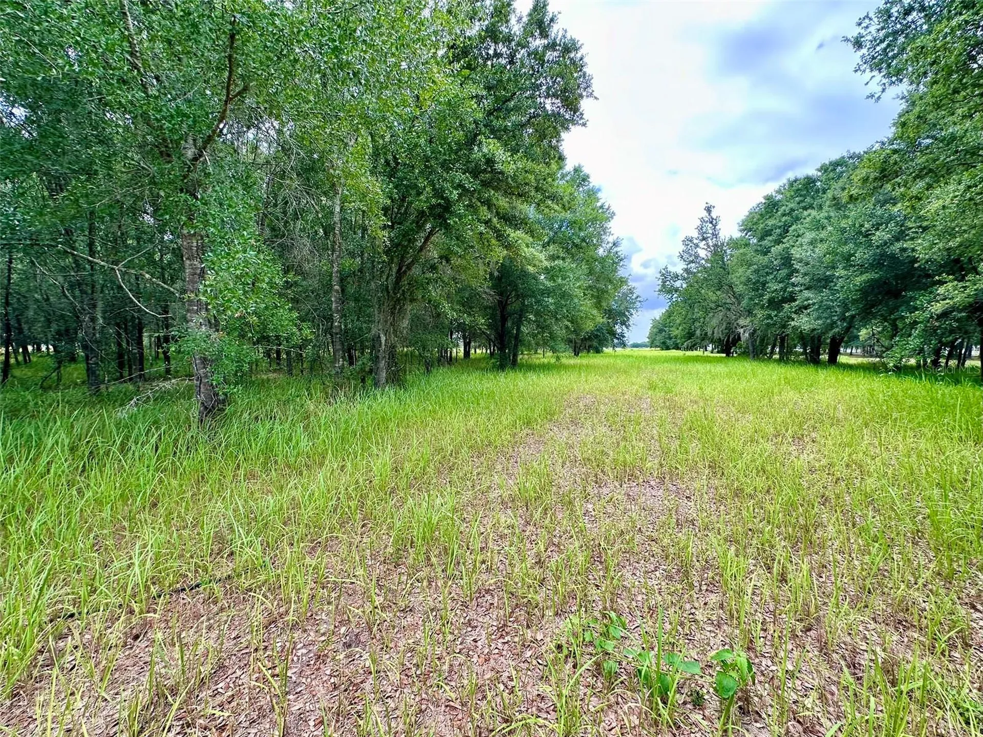 4946 Wauchula Road Wauchula FL 33873