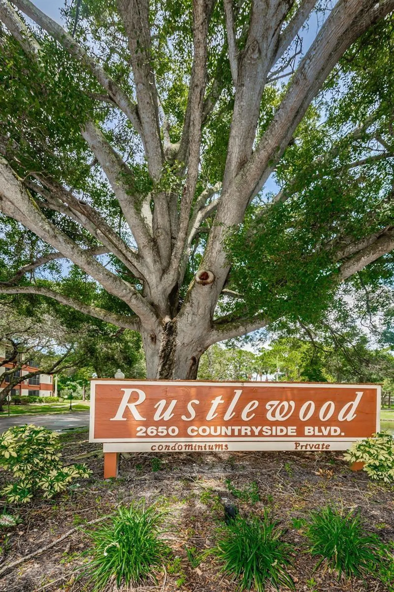 2650 Countryside Boulevard Clearwater FL 33761
