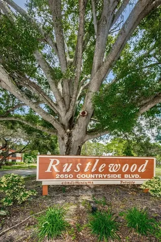 2650 Countryside Boulevard Clearwater FL 33761