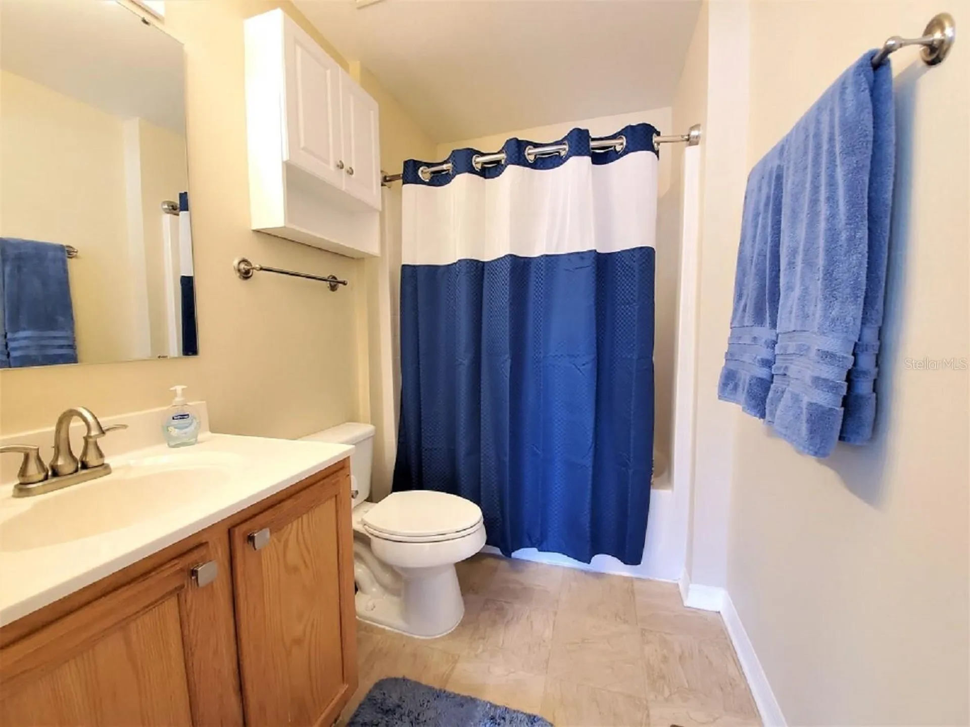 9870 Ashburn Lake Drive Tampa FL 33610