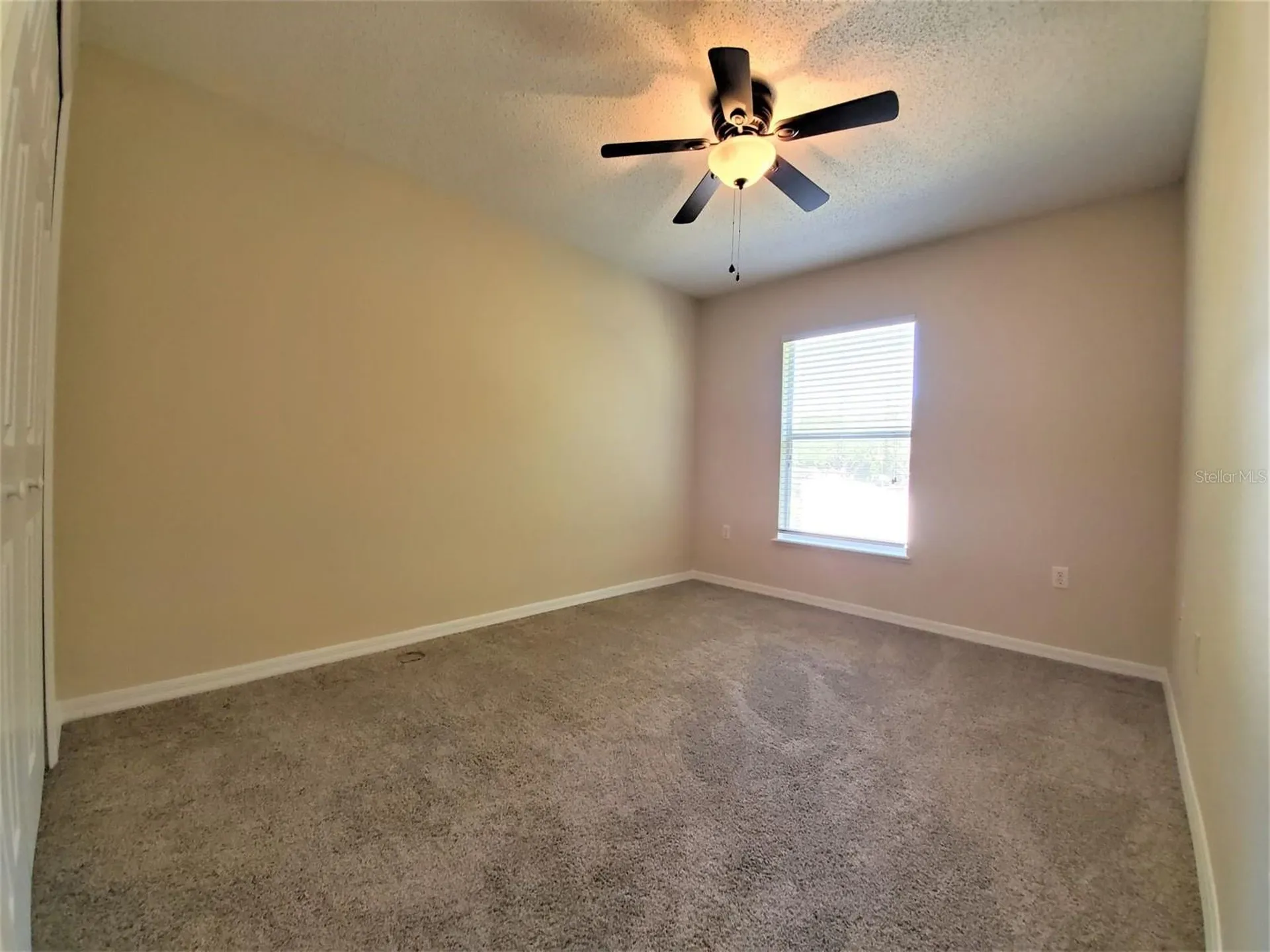 9870 Ashburn Lake Drive Tampa FL 33610