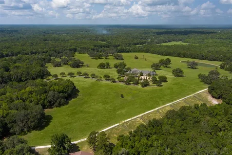 9095 NW 200th Street Road Micanopy FL 32667