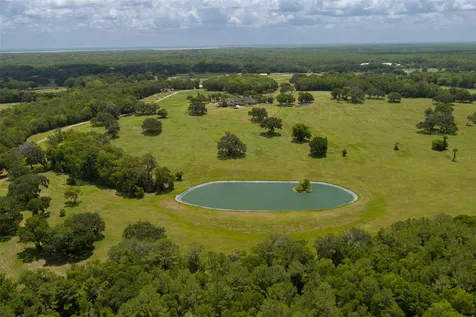 9095 NW 200th Street Road Micanopy FL 32667