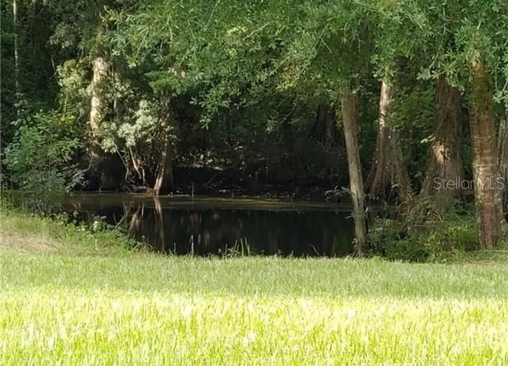12253 E Berry Lane Floral City FL 34436