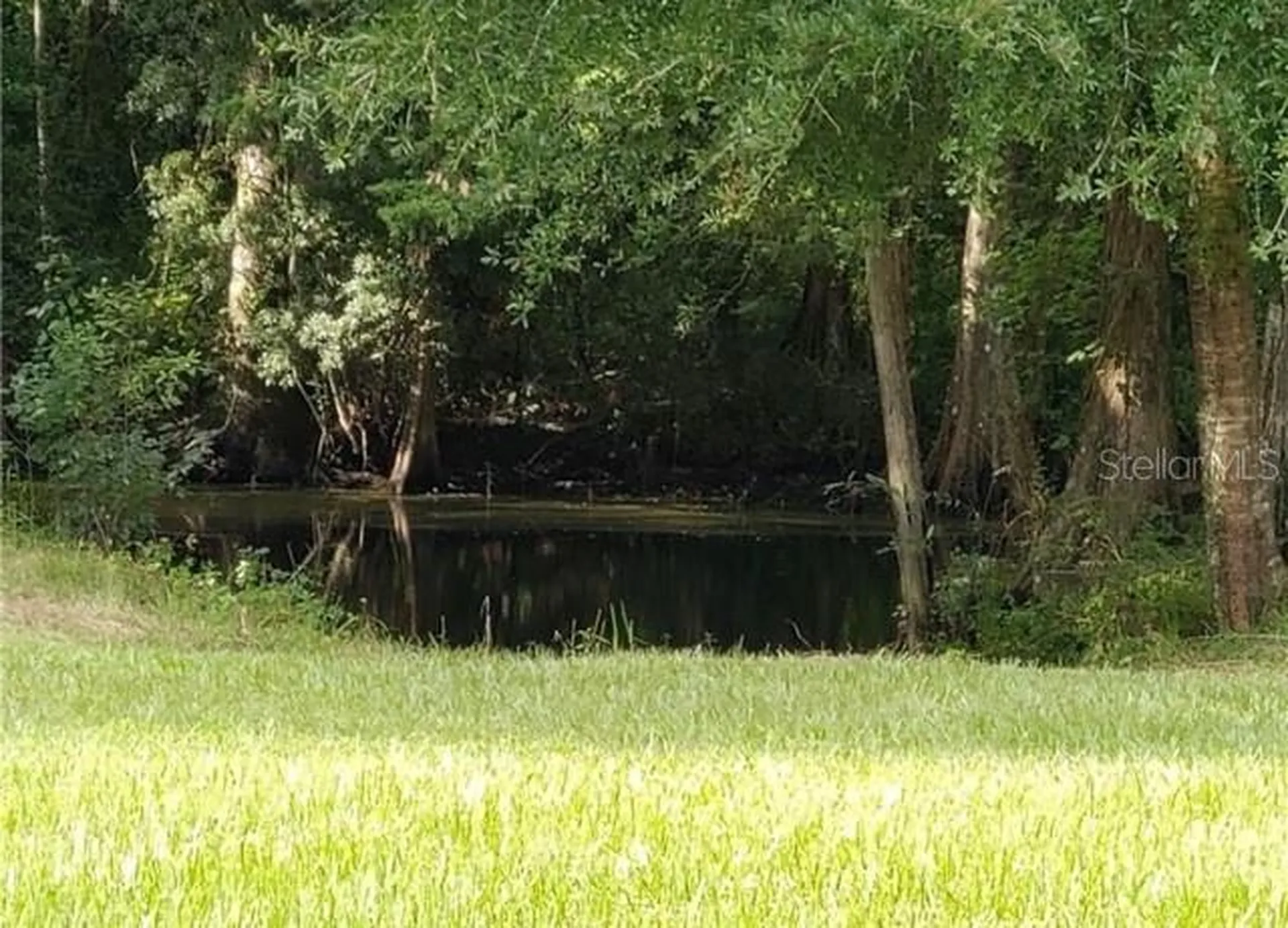 12253 E Berry Lane Floral City FL 34436