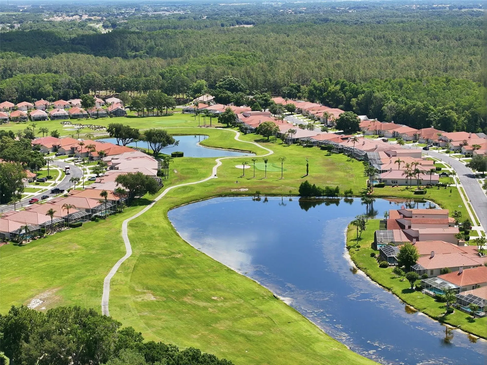 3166 Sterling Street Tarpon Springs FL 34688