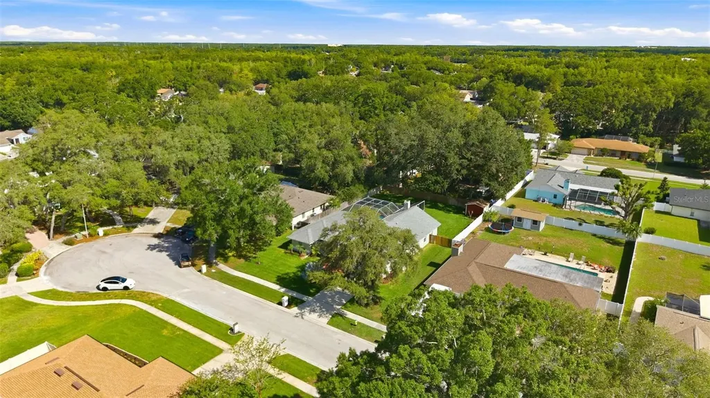 2511 Viny Court Tampa FL 33618