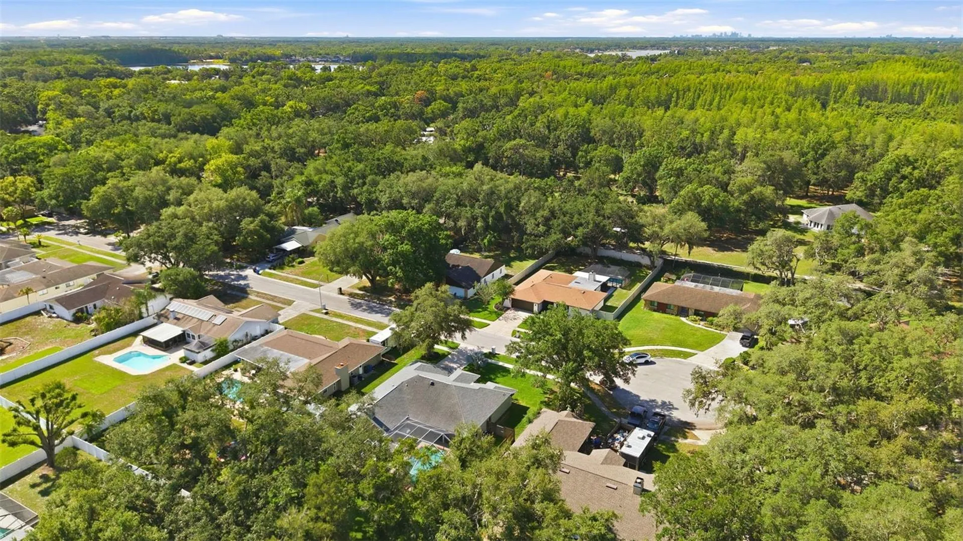 2511 Viny Court Tampa FL 33618
