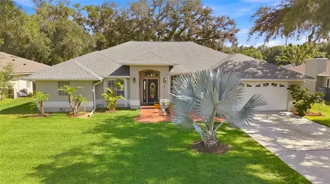 2511 Viny Court Tampa FL 33618