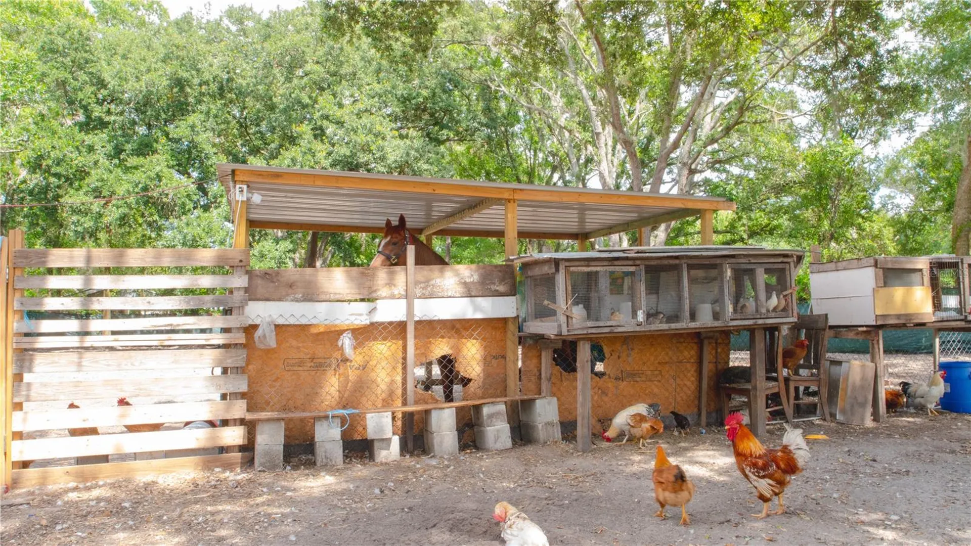 15229 N 13th Street Lutz FL 33549
