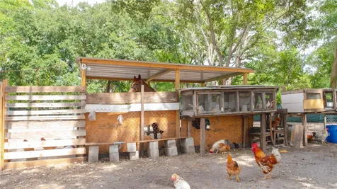 15229 N 13th Street Lutz FL 33549