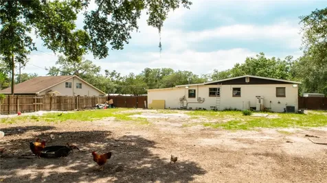 15229 N 13th Street Lutz FL 33549