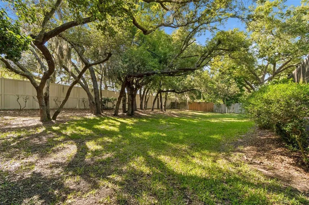 515 Sandy Hook Road Palm Harbor FL 34683