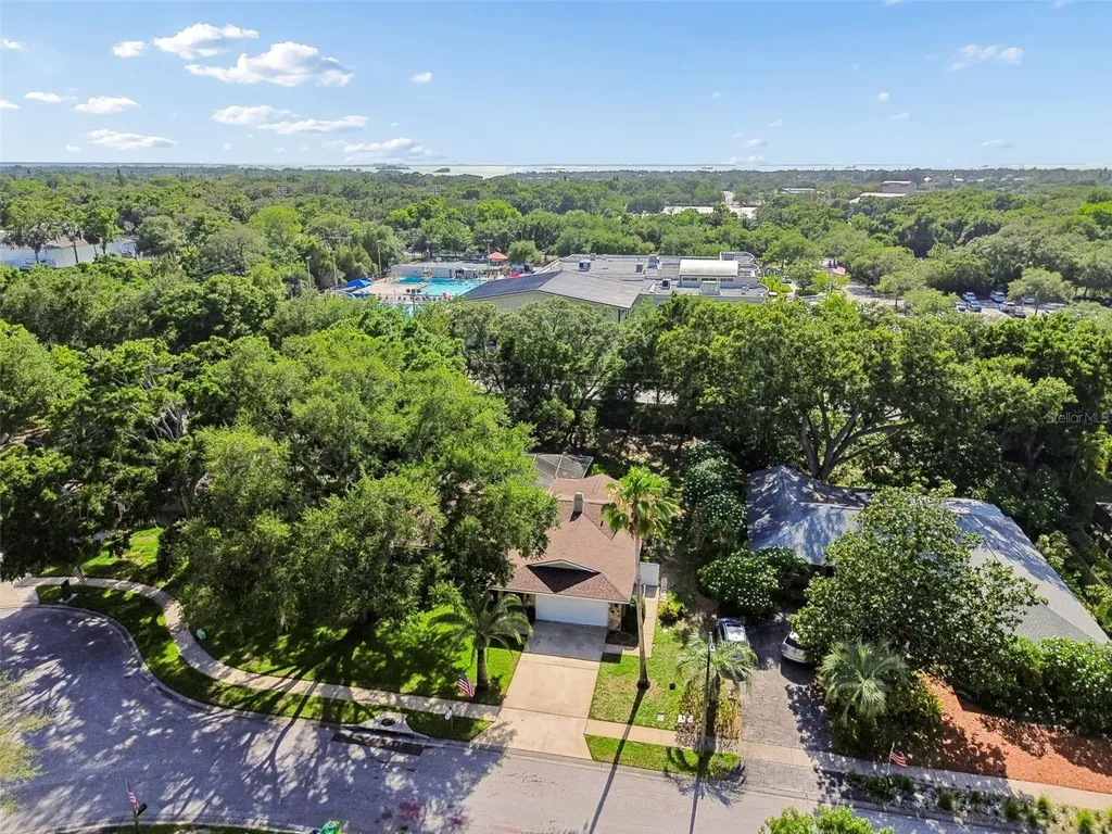 515 Sandy Hook Road Palm Harbor FL 34683