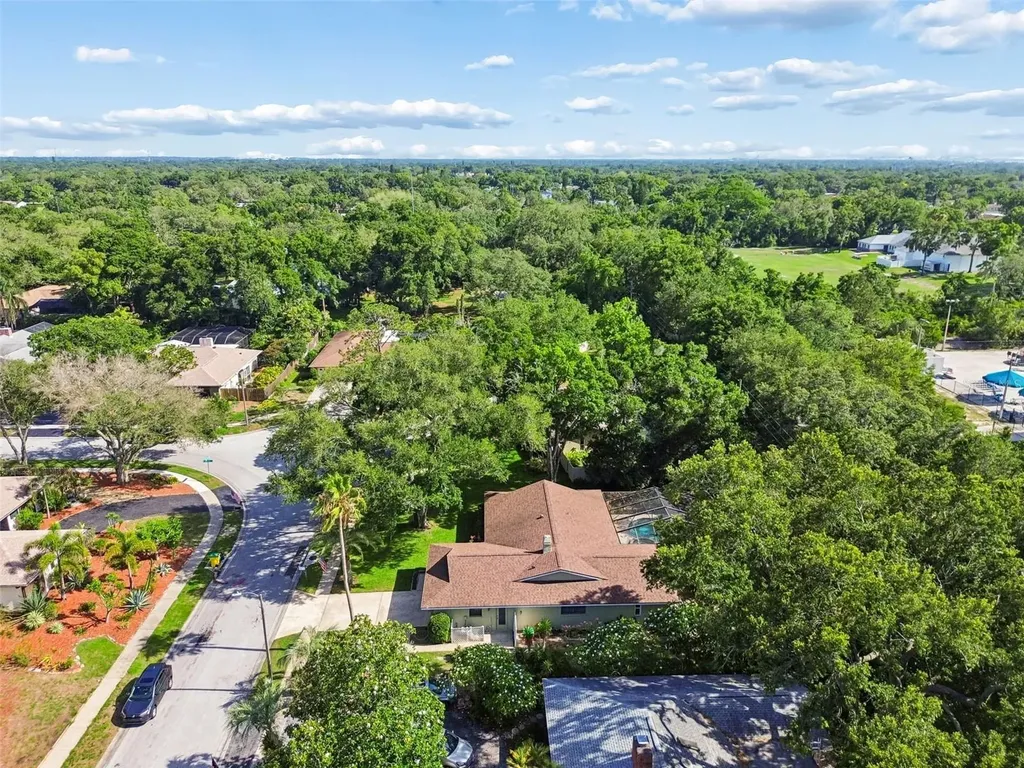 515 Sandy Hook Road Palm Harbor FL 34683