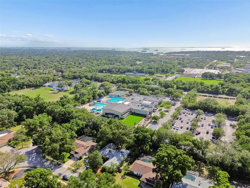 515 Sandy Hook Road Palm Harbor FL 34683