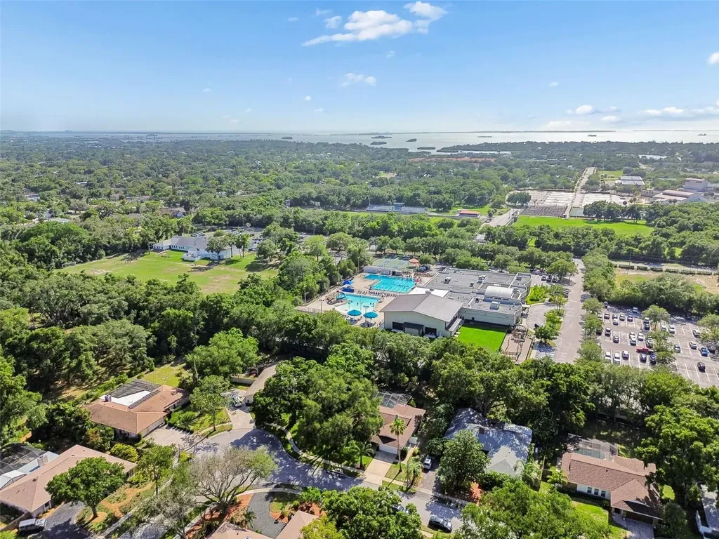 515 Sandy Hook Road Palm Harbor FL 34683