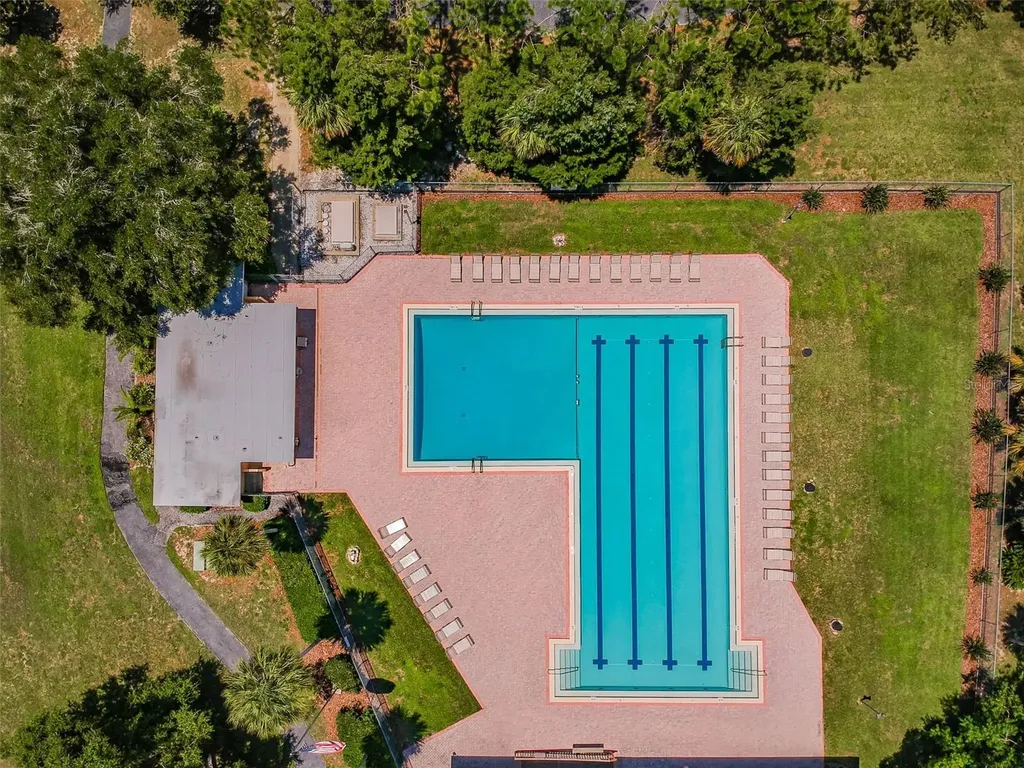 515 Sandy Hook Road Palm Harbor FL 34683