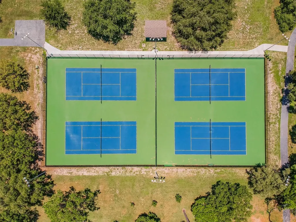 515 Sandy Hook Road Palm Harbor FL 34683