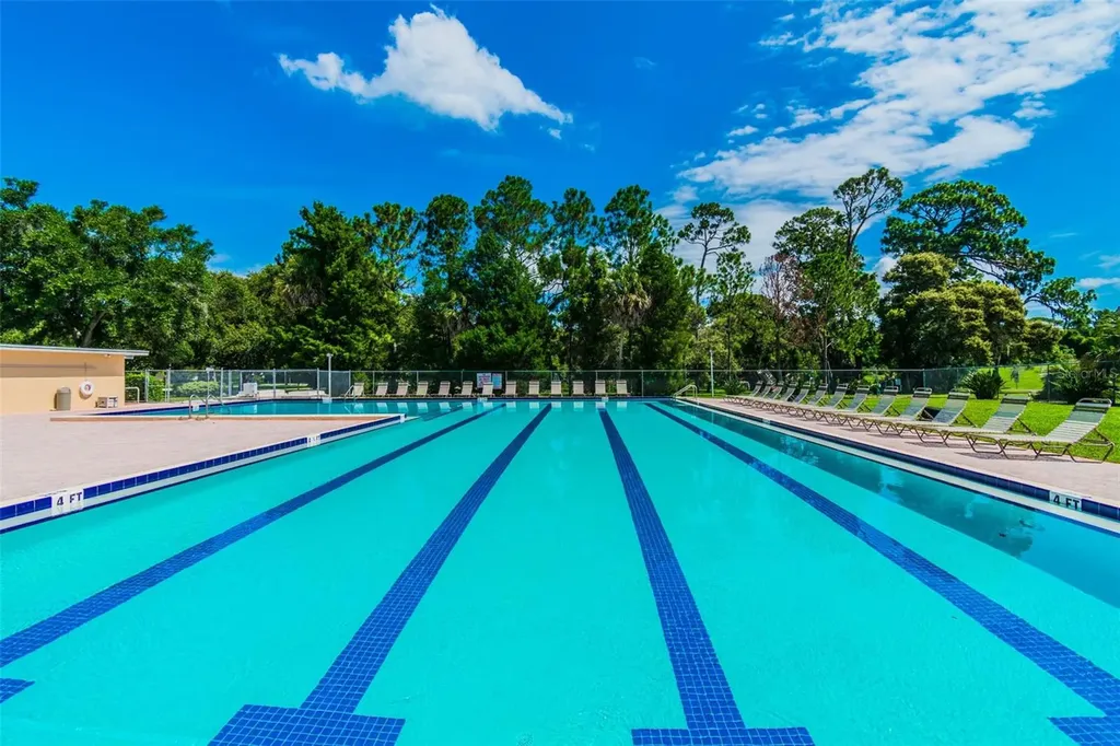 515 Sandy Hook Road Palm Harbor FL 34683