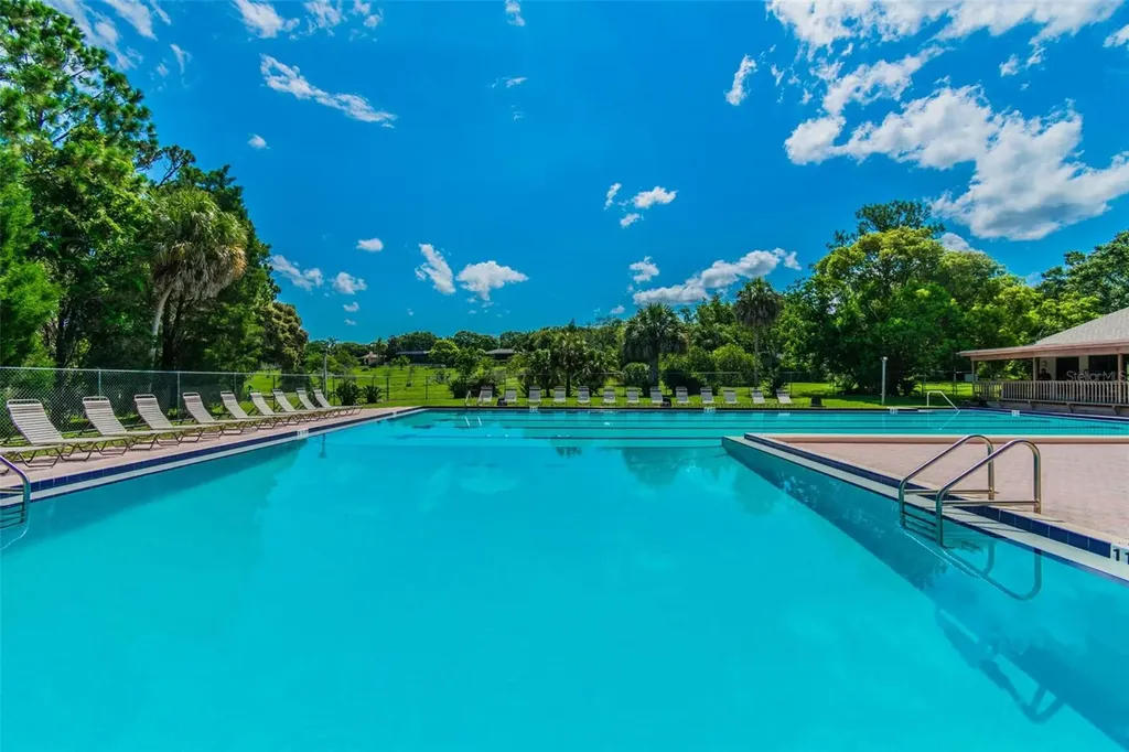 515 Sandy Hook Road Palm Harbor FL 34683
