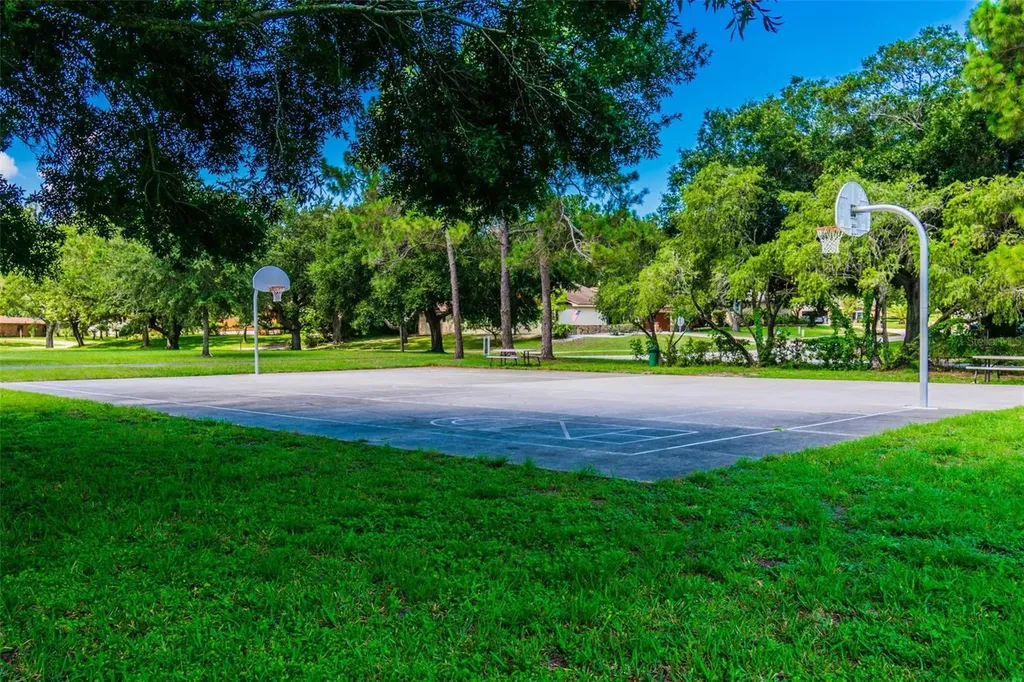 515 Sandy Hook Road Palm Harbor FL 34683