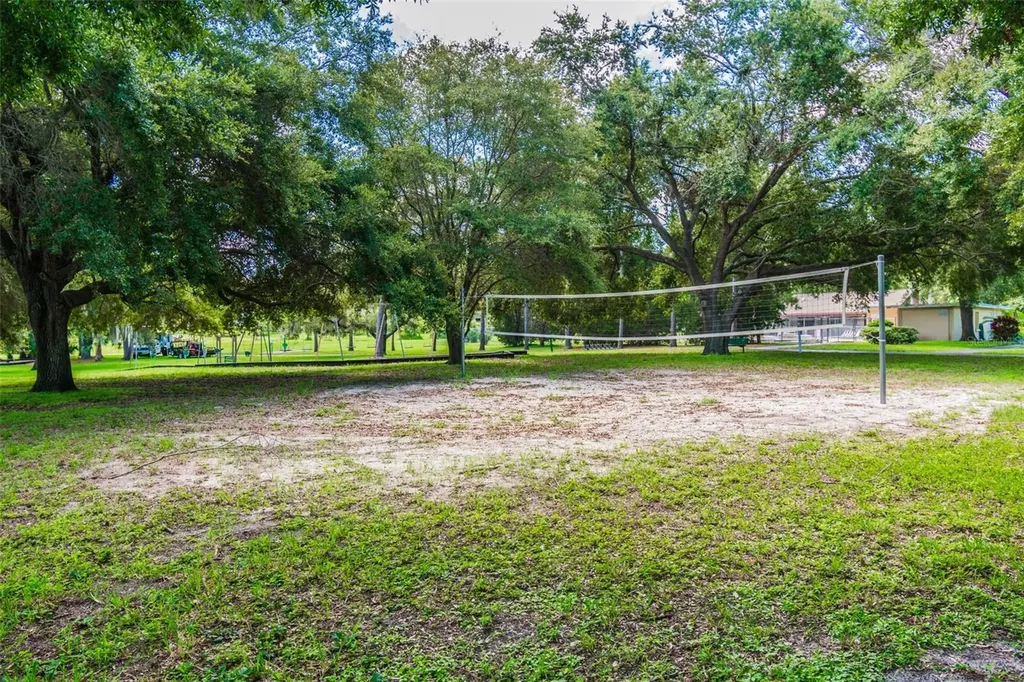 515 Sandy Hook Road Palm Harbor FL 34683