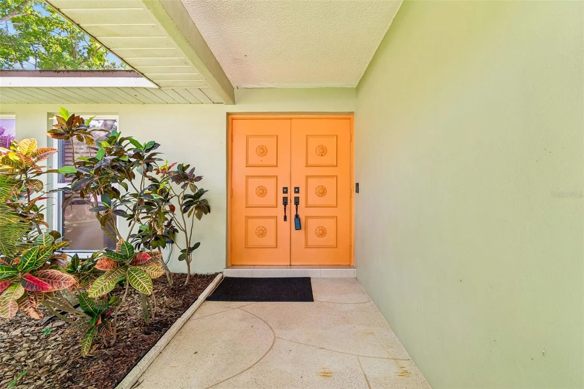 515 Sandy Hook Road Palm Harbor FL 34683