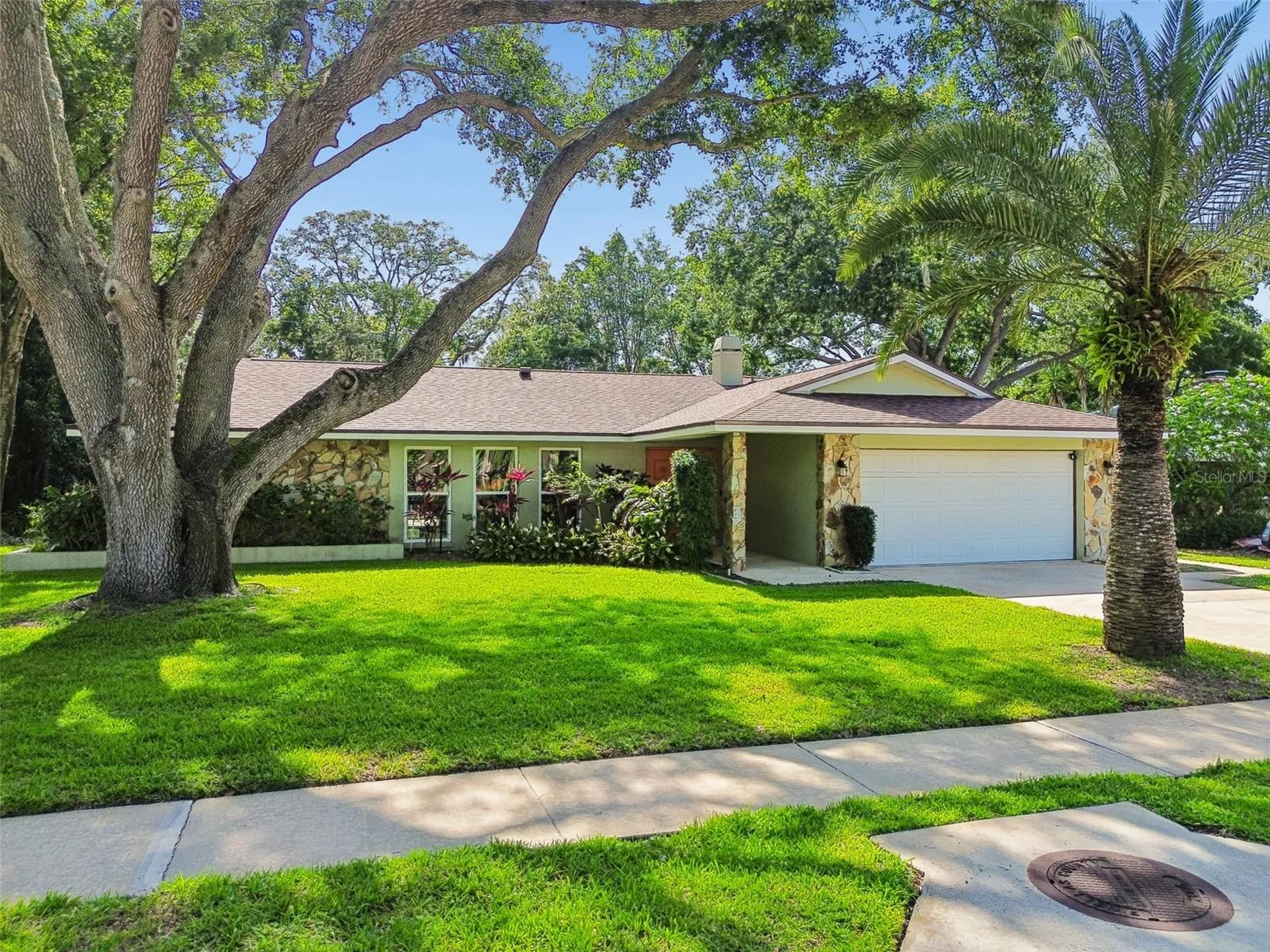 515 Sandy Hook Road Palm Harbor FL 34683