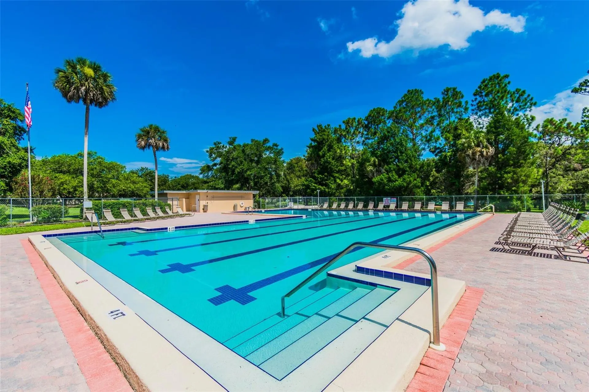 515 Sandy Hook Road Palm Harbor FL 34683