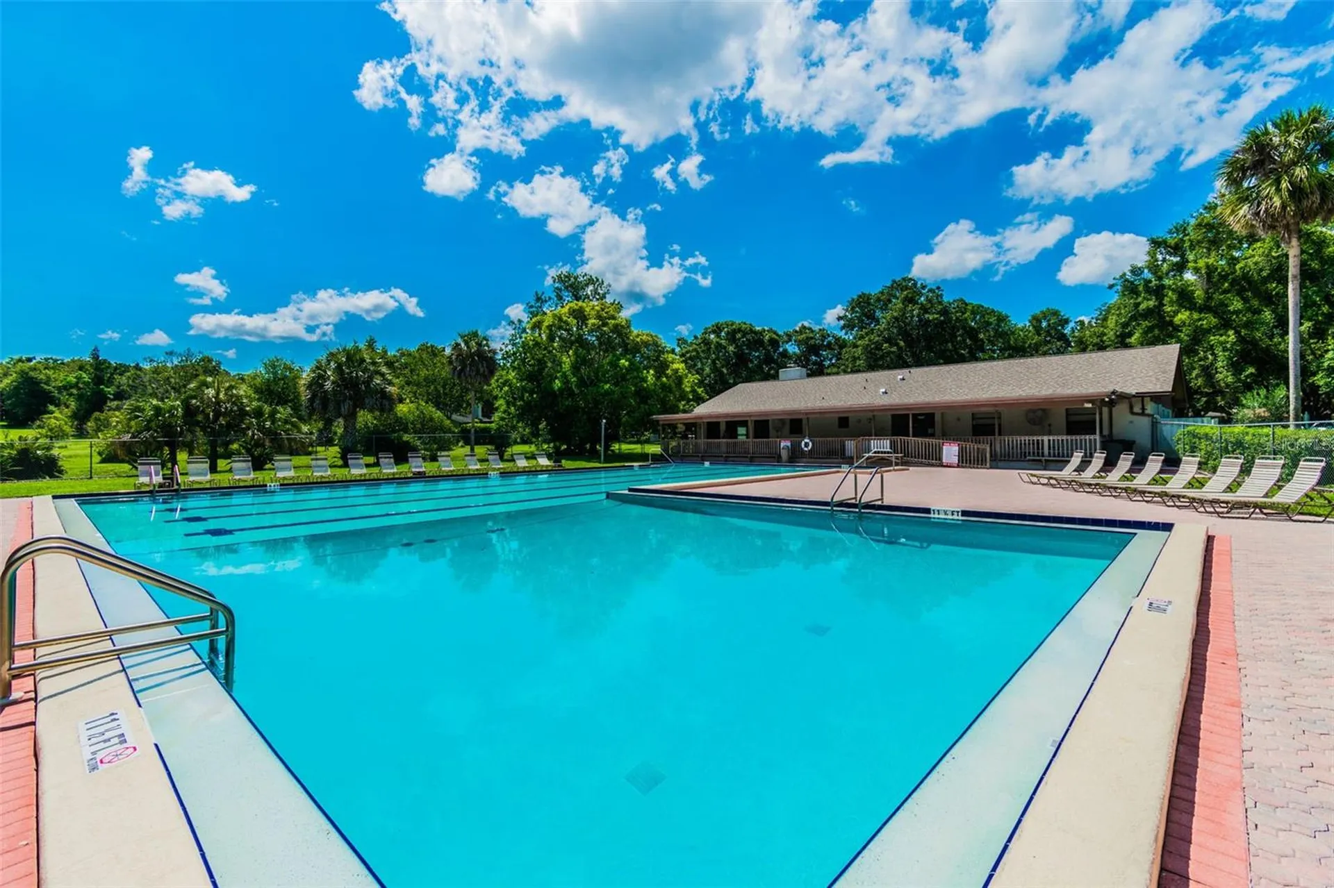 515 Sandy Hook Road Palm Harbor FL 34683