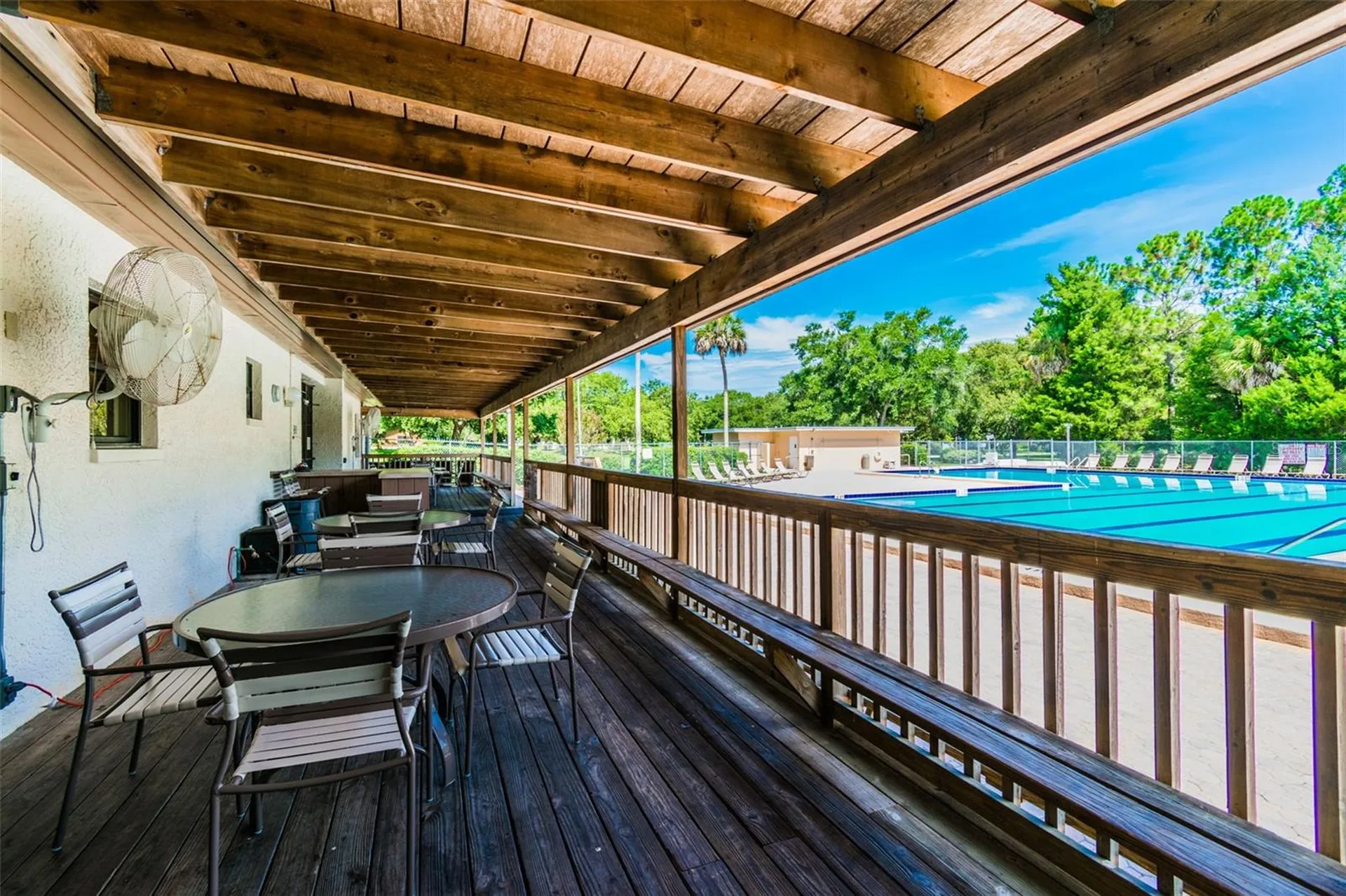 515 Sandy Hook Road Palm Harbor FL 34683