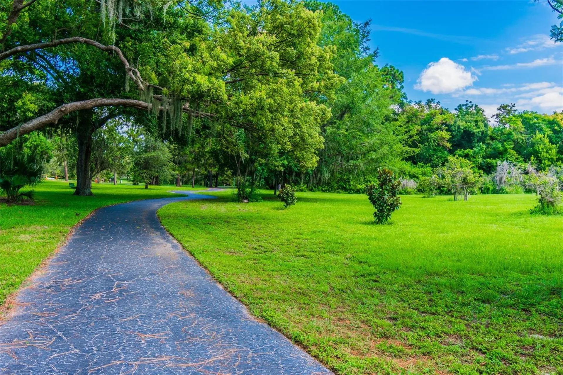 515 Sandy Hook Road Palm Harbor FL 34683