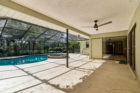 515 Sandy Hook Road Palm Harbor FL 34683