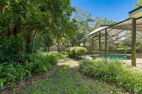 515 Sandy Hook Road Palm Harbor FL 34683