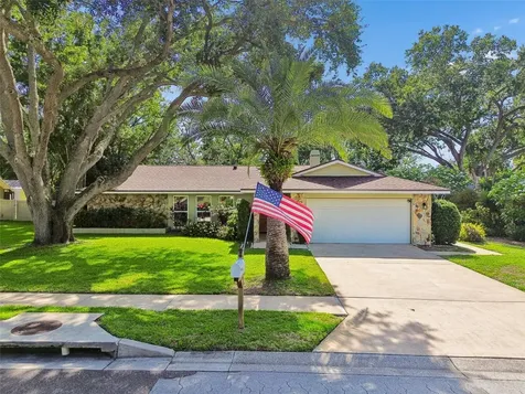 515 Sandy Hook Road Palm Harbor FL 34683