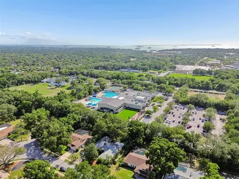 515 Sandy Hook Road Palm Harbor FL 34683