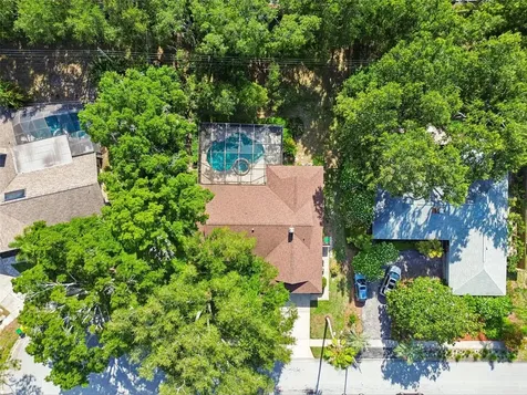 515 Sandy Hook Road Palm Harbor FL 34683