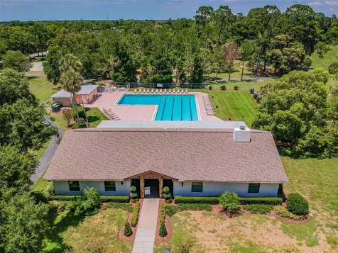 515 Sandy Hook Road Palm Harbor FL 34683