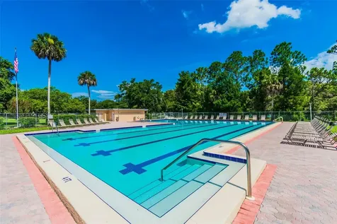 515 Sandy Hook Road Palm Harbor FL 34683