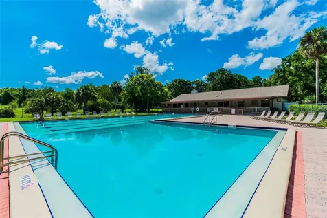 515 Sandy Hook Road Palm Harbor FL 34683