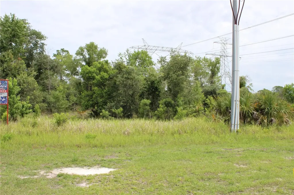 Salome Street Brooksville FL 34614