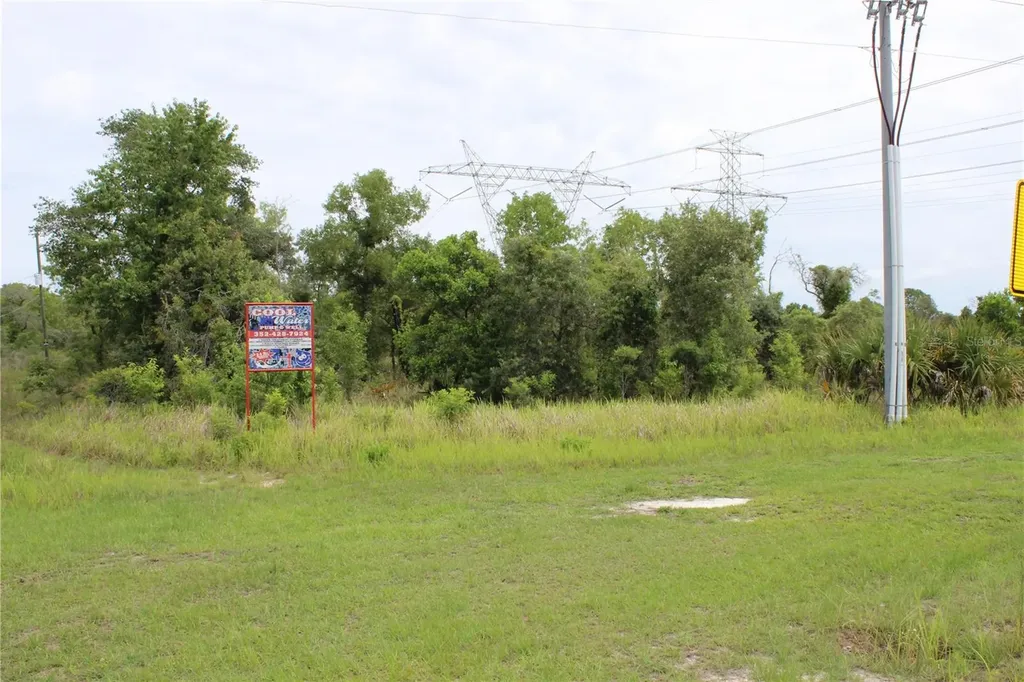 Salome Street Brooksville FL 34614