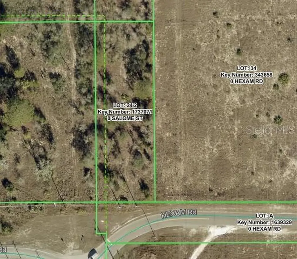 Salome Street Brooksville FL 34614
