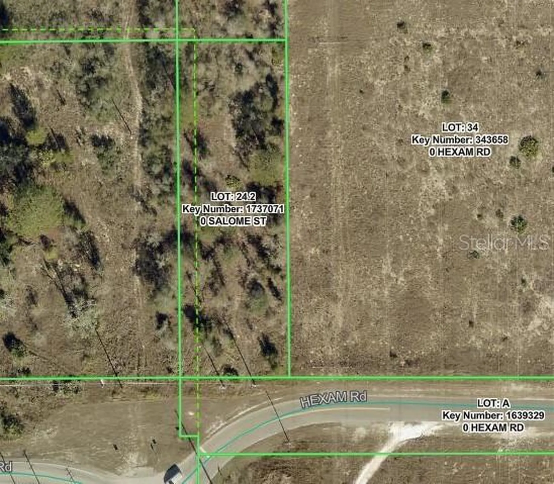 Salome Street Brooksville FL 34614