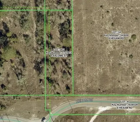 Salome Street Brooksville FL 34614