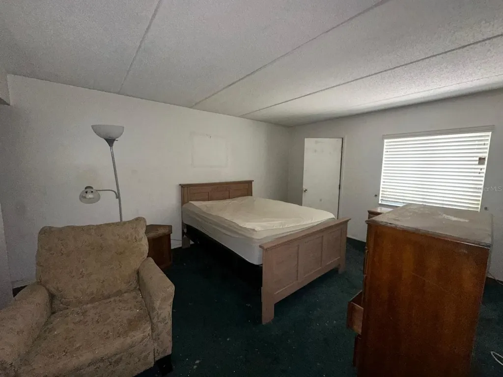 201 Palmetto Court Oldsmar FL 34677